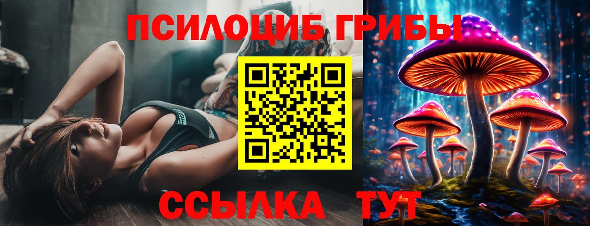 Псилоцибиновые грибы Psilocybine cubensis Кизилюрт