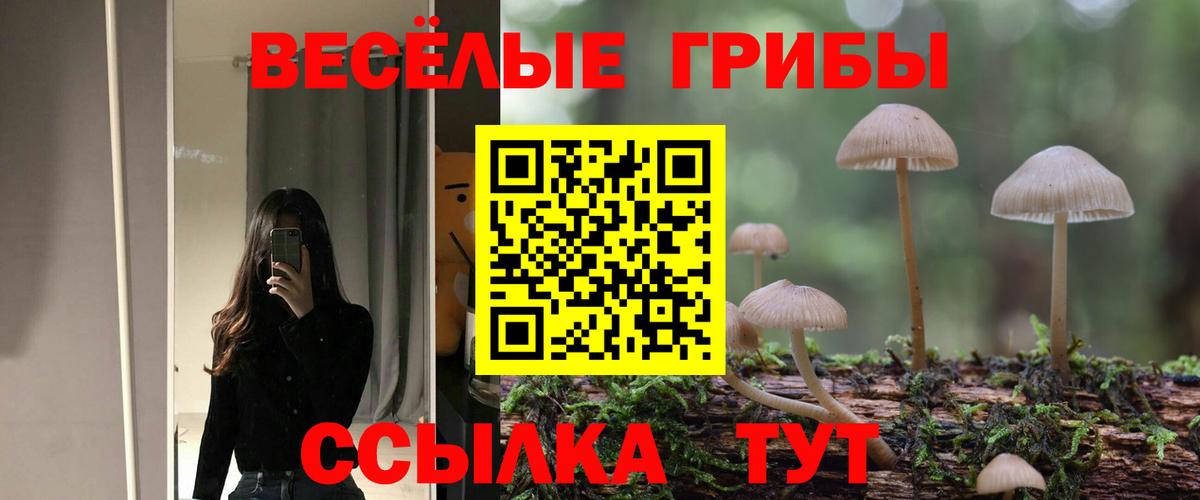 Галлюциногенные грибы MAGIC MUSHROOMS  Галлюциногенные грибы MAGIC MUSHROOMS  Кизилюрт  Вход с VPN 